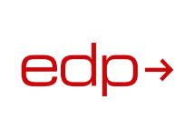 edp services ag